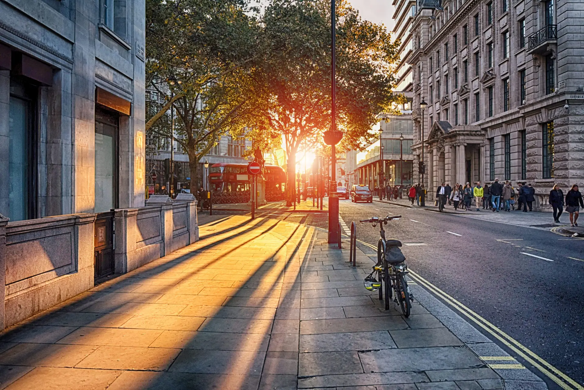 Therapy session support and connection